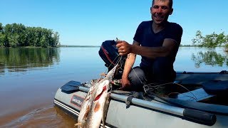 Ловля троллингом щуки на дону
