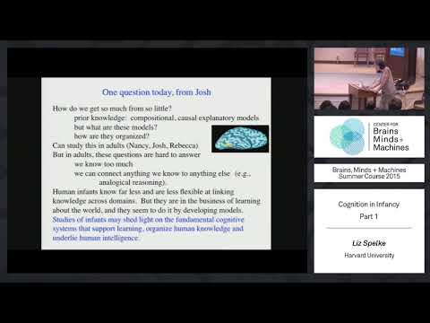 Lecture 3.1: Liz Spelke - Cognition in Infancy (Part 1)