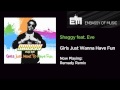 Shaggy feat. Eve - Girls Just Want To Have Fun ...