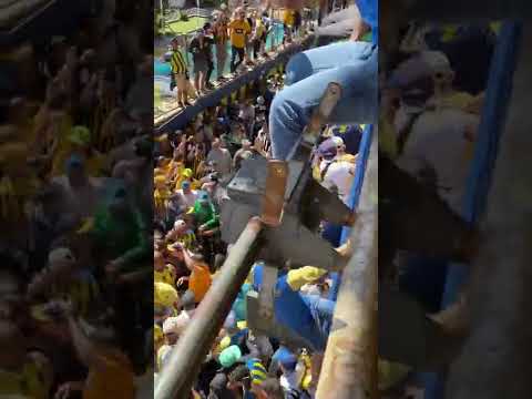 "Previa Rosario central vs nob. (Trompetas)" Barra: Los Guerreros • Club: Rosario Central