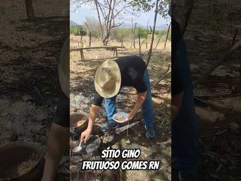 Confraternização no sítio Gino #FrutuosoGomesRN #interiorDoRN #nordeste