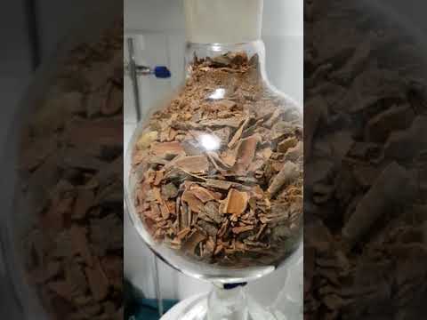 steam distillation of cinnamon with quick run through explanation