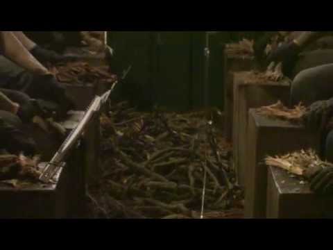 PRIMEIRA BATEÇÃO - FLOR DE JAGUBE - S.SANTA 2014