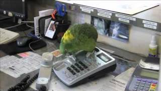 ANIMAL HOSPITAL, EPISODE ONE: THE TOUR