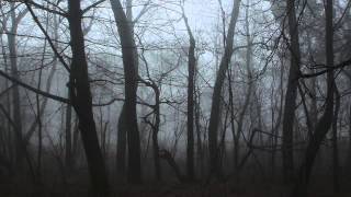 Manufactura - Wreath of Barbs (RMX for :wumpscut:)