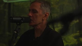The Go-Betweens' Robert Forster Returns With Twanging Folk-Country Lullaby 'Let Me Imagine You'