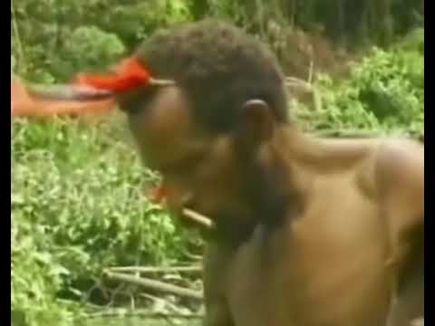 Forest Tribe Meets A White Man For The First Time 1993 | The Toulambi Tribe