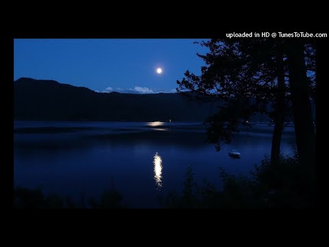 Cleptomaniacs - Time Out For Love (Remix)