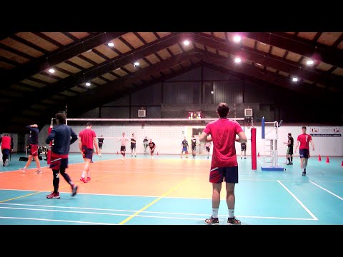 Serie B - Zeroquattro Volley VS PCG Bresso