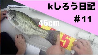 kしろう日記#11　2022年バス釣りまとめ