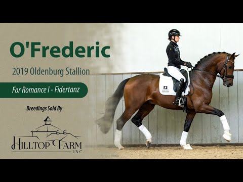O'Frederic (For Romance I-Fidertanz) - KWPN & Hanoverian Approved Stallion
