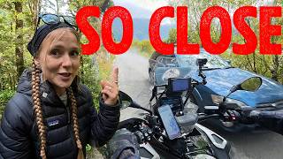 We Nearly Got Taken Out… On New Zealand Backroads