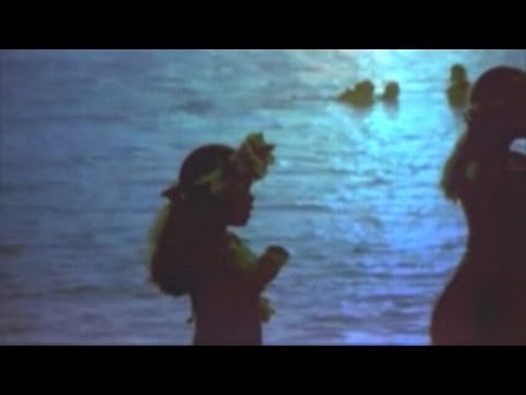 VANGELIS ♪ Fields of Coral ♪ Small Version