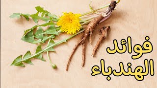 فوائد وأضرار عشبة الهندباء | سر قديم يعيد لجسمك الصحة والنشاط