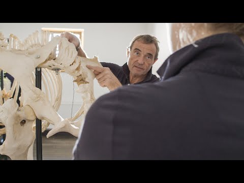 Altano Imagefilm - For the well-being of animals