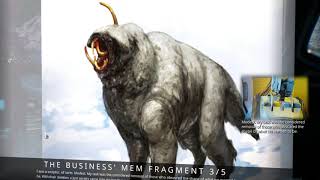 The Business&#39; Mem Fragments (Lore)