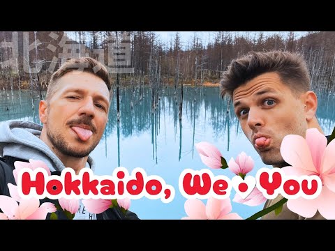 Hokkaido Travel Guide: Best Places in Hokkaido, Japan 🇯🇵