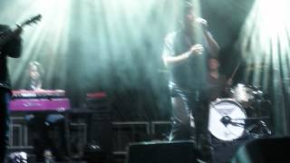 Racoon - Happy Family