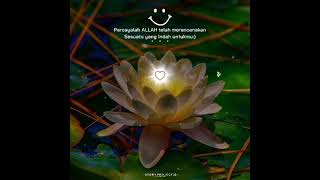 Download lagu Story WA Kata-Kata PSHT Keren Dan Terbaru mp3 Download lagu Story WA Kata-Kata PSHT Keren Dan Terbaru mp3