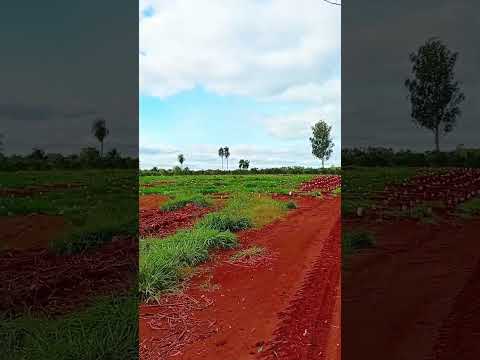 Recorriendo caminos de la tierra colorada 💚✨🚴🤩!!  (Hipólito Yrigoyen Misiones Argentina)