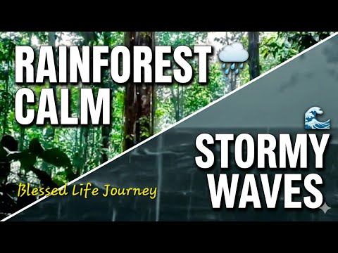 Nature’s Duality | Relaxing Forest Rain & Stormy Ocean Waves for Sleep and Focus .