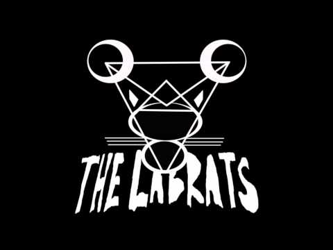The Labrats - Holhouskausti