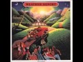Weather Report - Plaza Real 