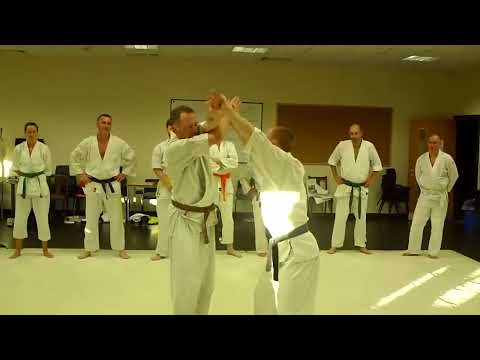 Gedan Ate   Variation