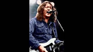 Road To Hell  -  Rory Gallagher