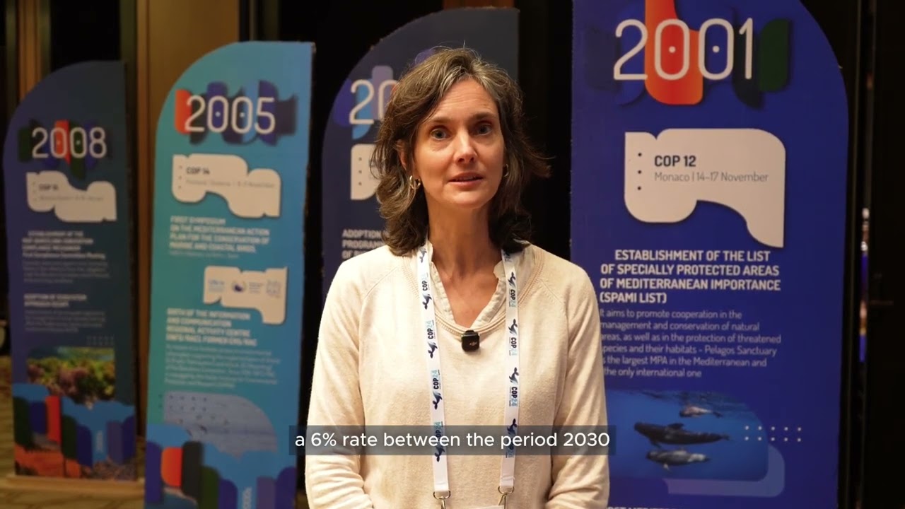 Presenting the Mediterranean's Remaining Carbon Budget at COP24
