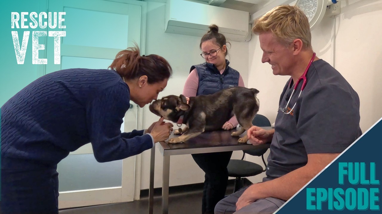 You'll Fall in Love With Sweet Rescue Dog Cherry! 🍒