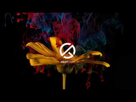A Mase feat. Ladynsax - Lily Was Here (Original Mix)