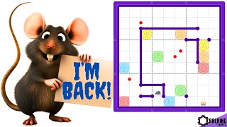 Season 2: Rat Run Sudoku returns!!