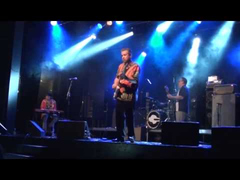 T-bear and the dukes-spanich barfly