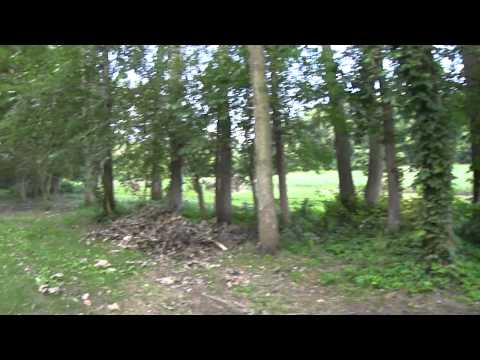 Camping at Pigeon River