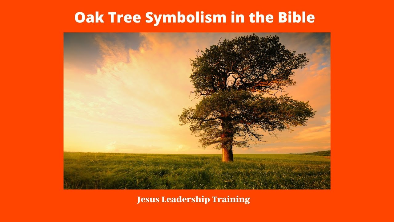 What does the oak tree symbolize in the Bible? Zandex