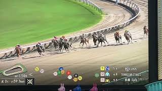 【競馬実況動画2026】第3回京都競馬1日目天王山ステークス ジュンウィンダム（国分優作）
