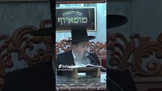 ✨הרב בן ציון מוצפי✨ מעלת הדר בארץ ישראל (בית הכנסת מוסאיוף - ערוץ חדש) - התמונה מוצגת ישירות מתוך אתר האינטרנט יוטיוב. זכויות היוצרים בתמונה שייכות ליוצרה. קישור קרדיט למקור התוכן נמצא בתוך דף הסרטון