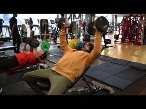 CHEST AND BACK  week 2 - Nate Aesthetics