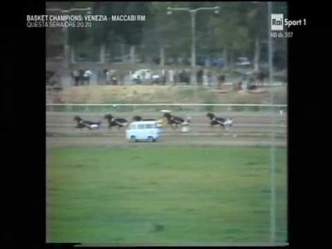 TROTTO PREMIO TRINACRIA 1979 LANDERBERGER