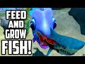 Feed And Grow Fish - MEGA LITTLE PURPLE FISH (Funny Moments Gameplay)