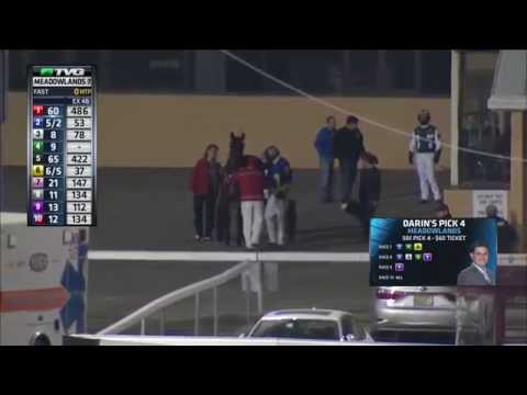 58 Year-Old Harness Driver Holds on while Getting Dragged by Wild Horse