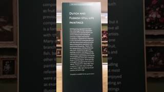 Still life paintings renaissance ashmoleon museum 2016