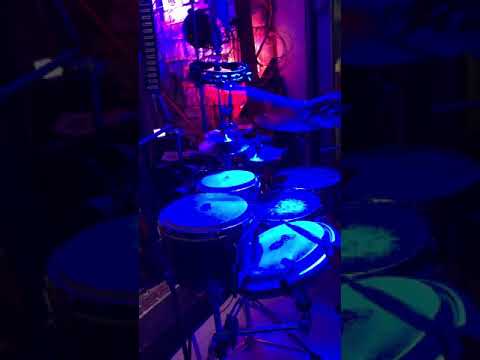 Heavy Pets at Dunedin Brewery