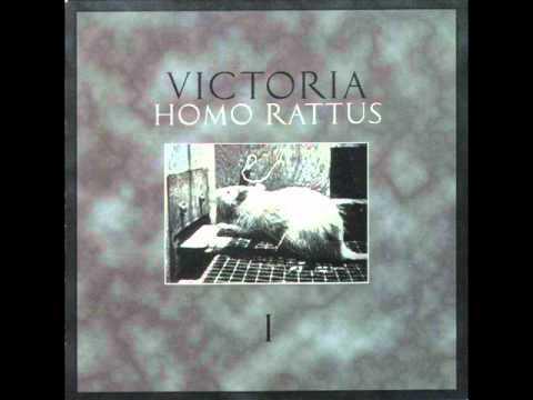 Victoria - Homo Rattus - Like Rats (Rattus Rattus)