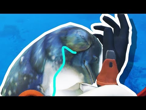 6ihdjSXzPv0/default.jpg