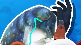 6ihdjSXzPv0/default.jpg