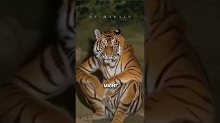 5 most unusual animals you might not know they exist