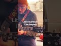 Little Sunflower, live looping