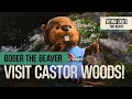 Bober The Beaver Visit Castor Woods